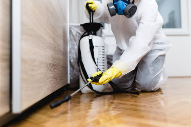 Best Flea Control Services  in Inglis, FL