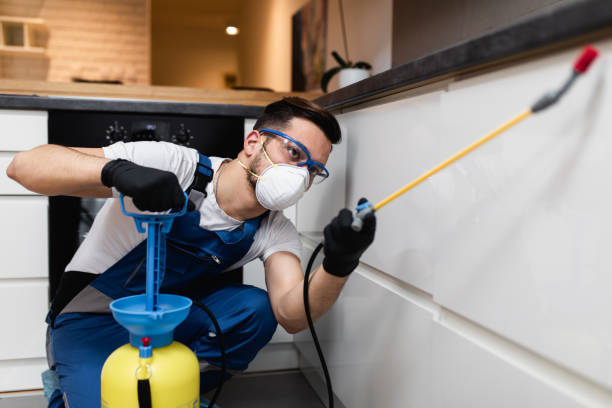 Best Affordable Pest Control Services  in Inglis, FL