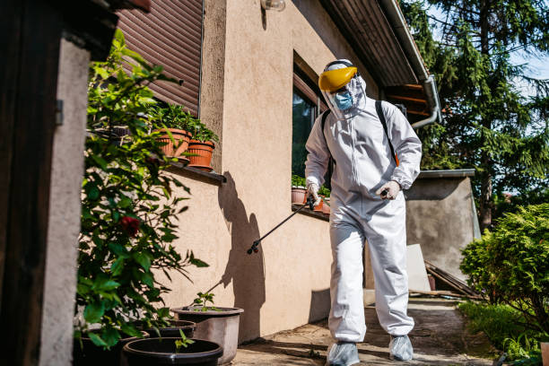 Best Insect Control  in Inglis, FL
