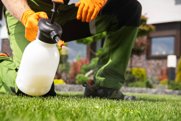 Pest Control Cost in Inglis, FL