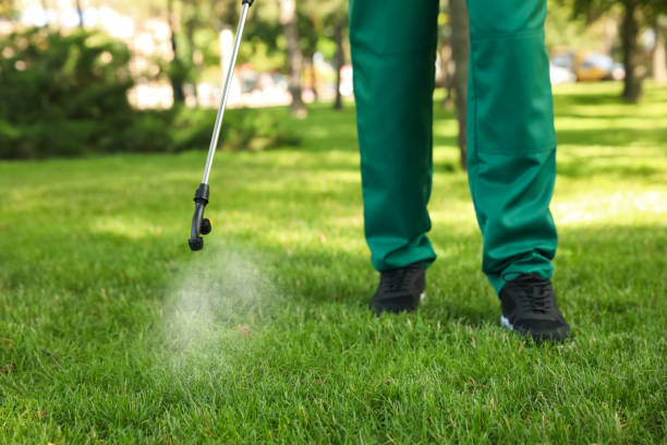 Best Flea Control Services  in Inglis, FL