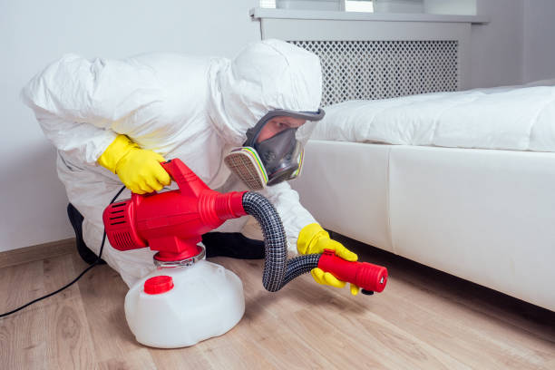 Best Best Pest Control Companies  in Inglis, FL