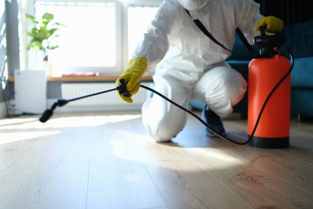 Professional Pest Control in Inglis, FL