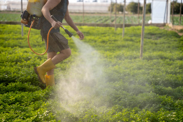 Best Pest Inspection Near Me  in Inglis, FL