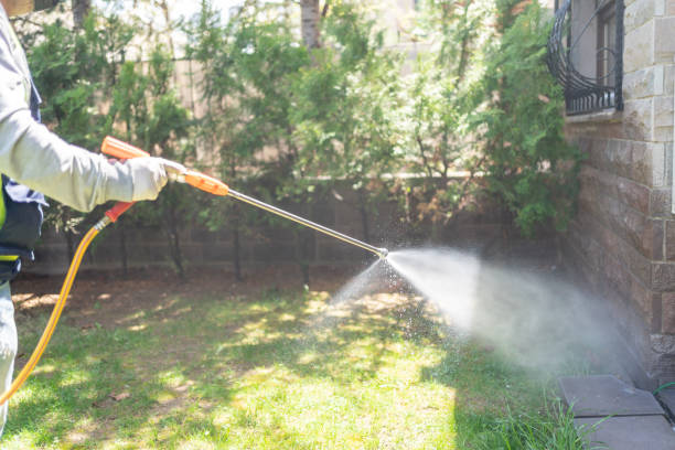 Best Exterminator Services  in Inglis, FL