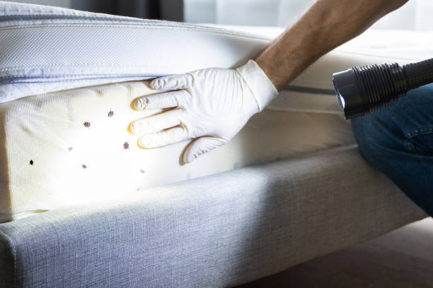 Best Pest Control Treatment  in Inglis, FL