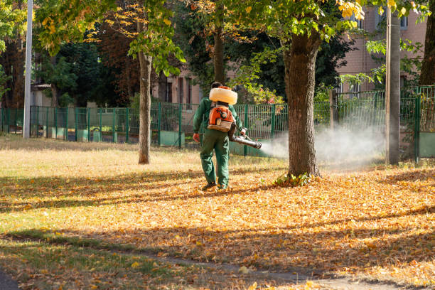 Best Wasp Removal Services  in Inglis, FL