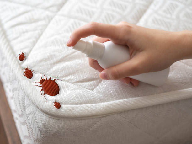 Best Best Pest Control Companies  in Inglis, FL